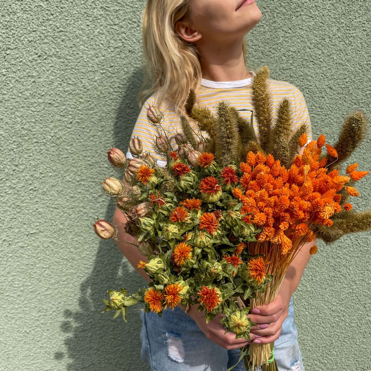 Suszony phalaris pomarańczowy - trawa ozdobna