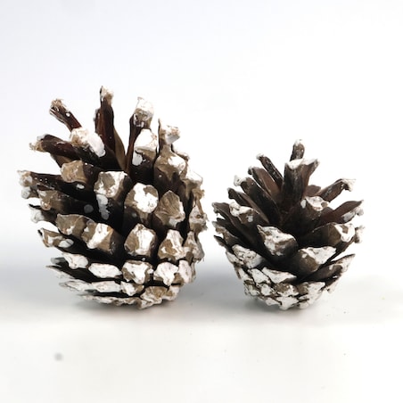 Szyszki sosnowe do dekoracji 5szt. frosted