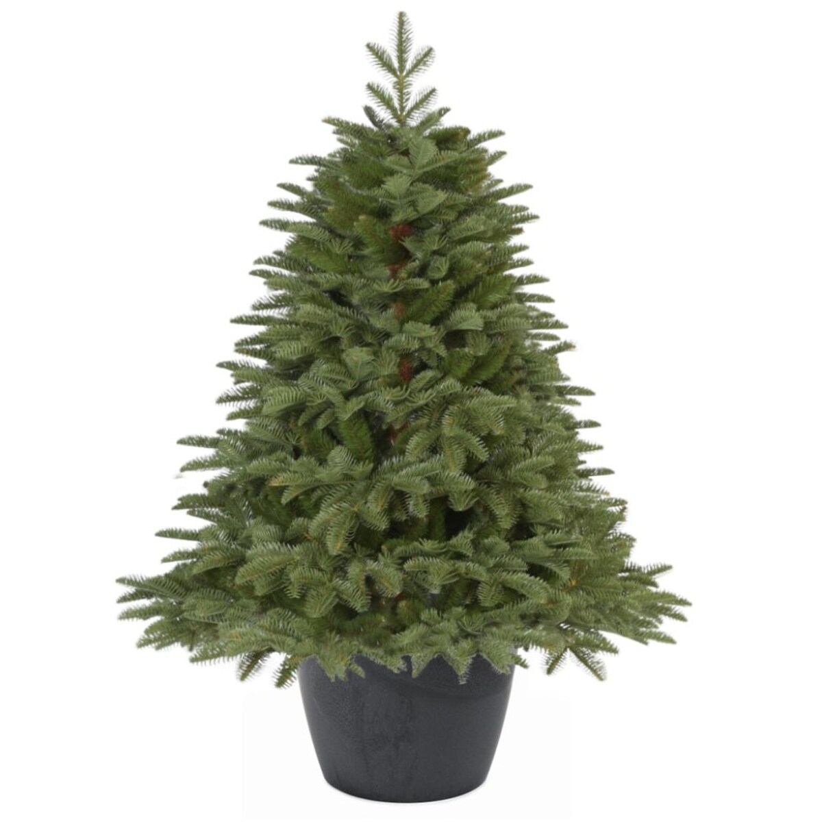 Choinka Premium Jodła Szlachetna PE w Okrągłej Donicy 110 cm X-Choinka 7 kolorów donicy