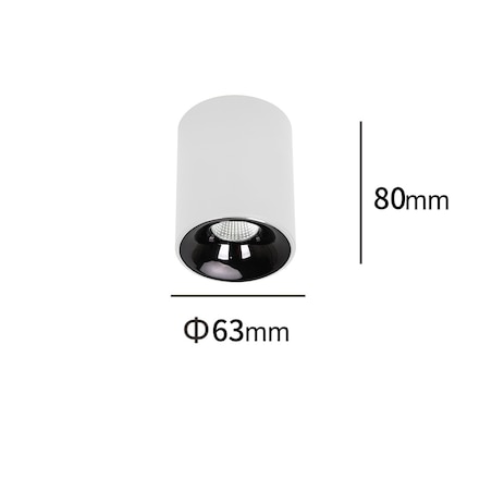 Oprawa natynkowa Light Prestige Tom biały LED CCT 3000K/4000K/6000K (regulowana) 1 szt.