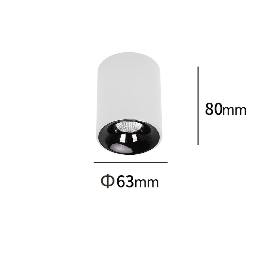Oprawa natynkowa Light Prestige Tom biały LED CCT 3000K/4000K/6000K (regulowana) 1 szt.