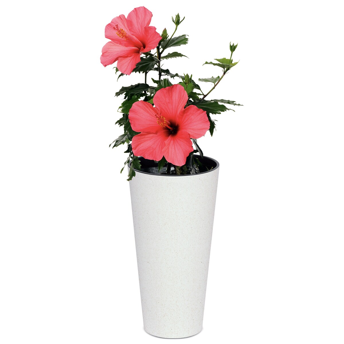Donica Doniczka Ogrodowa 20 Cm Na Taras Do Ogrodu Domu Eco Wood Biała
