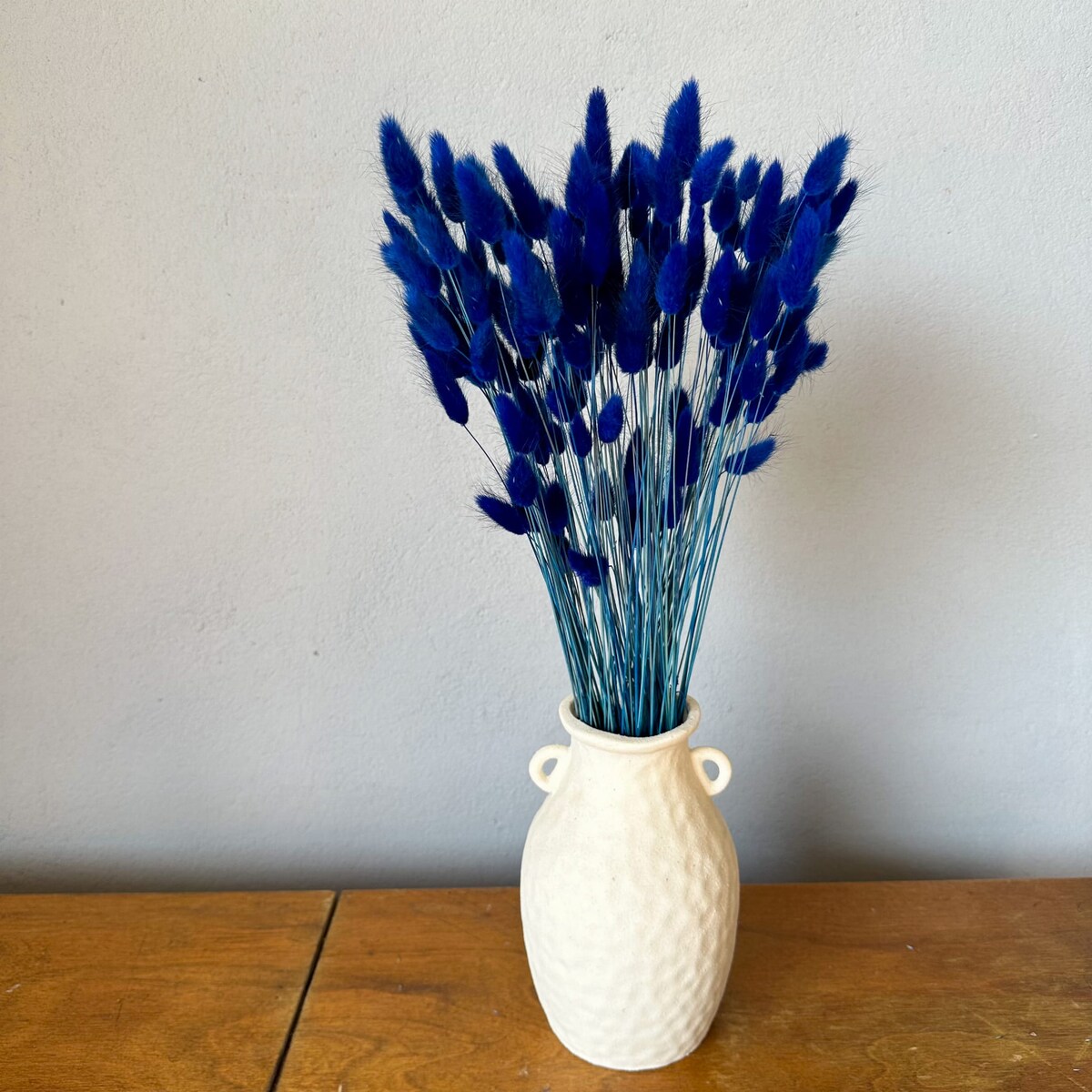 Lagurus Suszony Granatowy - Dmsuzek Jajowaty 70 szt.