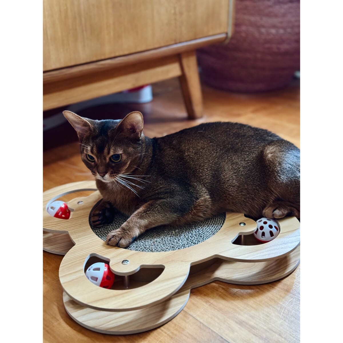 Drapak dla kota tekturowy kartonowy legowisko zabawka