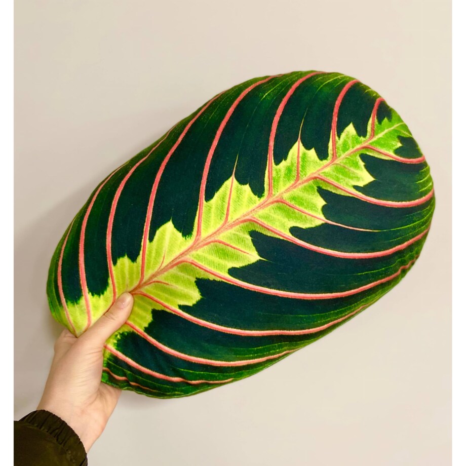 Poduszka Liść Maranta
