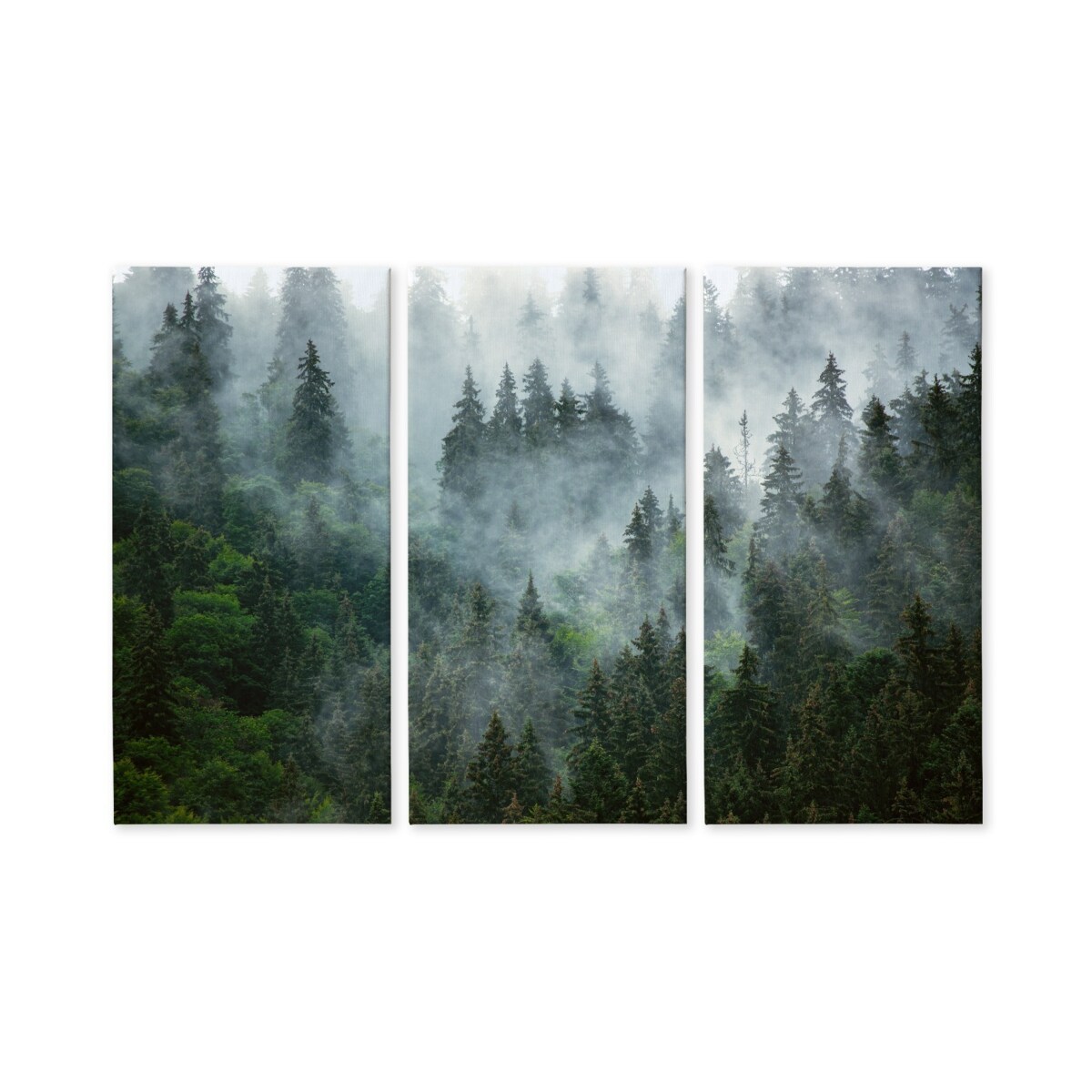 Obraz 3-częściowy LAS WE MGLE Zieleń Dekor 120x80cm