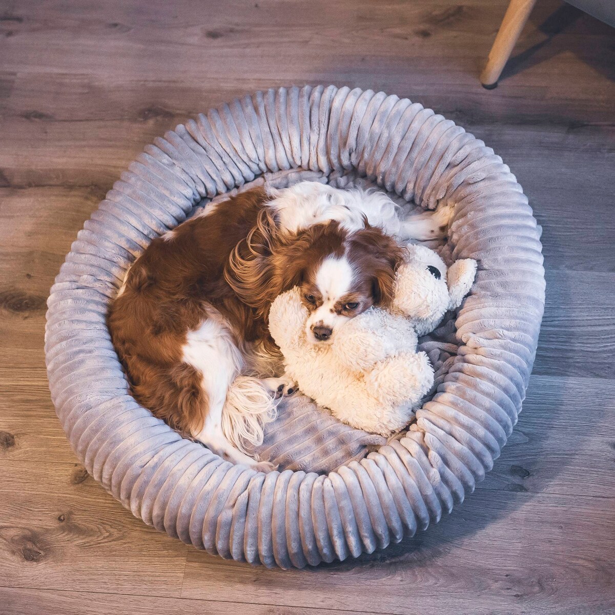 Urocze legowisko dla psa lub kota LUNA, 75x65 cm, Grafit