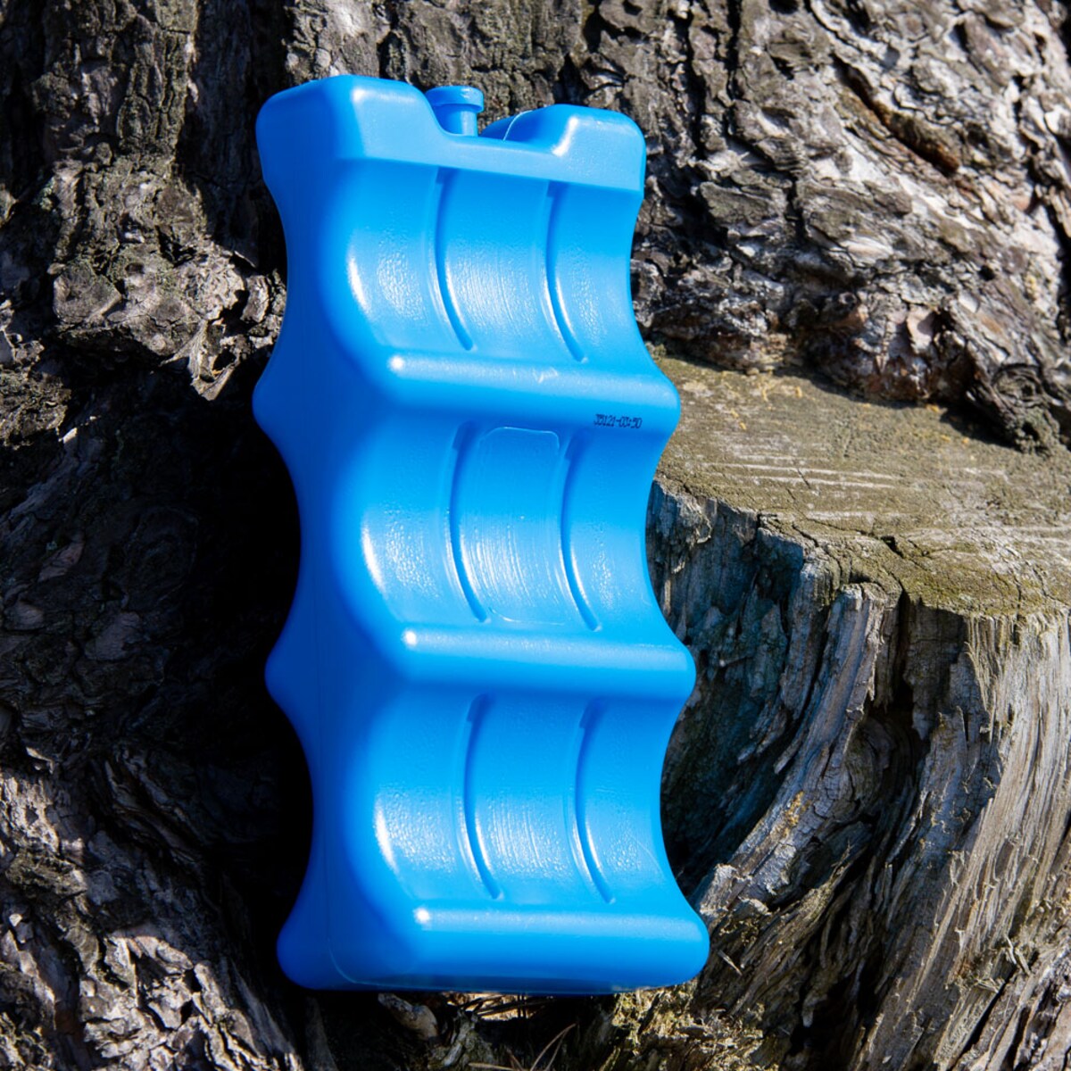 Wkład Chłodzący Do Lodówki Torby Turystycznej Na Puszki 6 Puszek