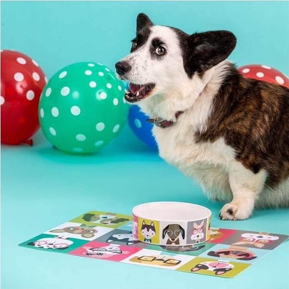 Miska dla psa, kamionkowa, 15 cm Pawtrait