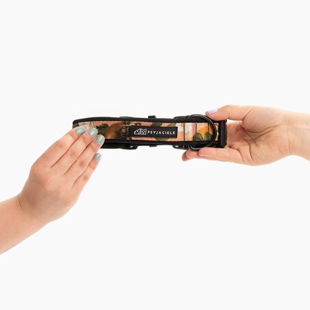 Obroża z klamrą SUPER SOFT "Wie wiórka co dobre" - Szerokość taśmy: 38mm, Rozmiar: M