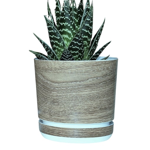 14 cm wzór JASNY DĄB Doniczka z podstawką imitacja dębowej deski drewna styl naturalny drewnopodobna