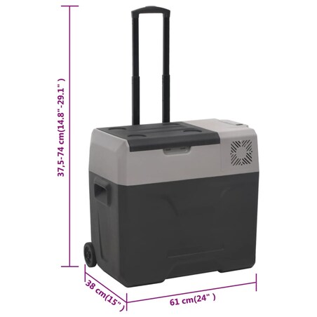 vidaXL Lodówka na kółkach, z uchwytem, czarno-szara, 30 L, PP