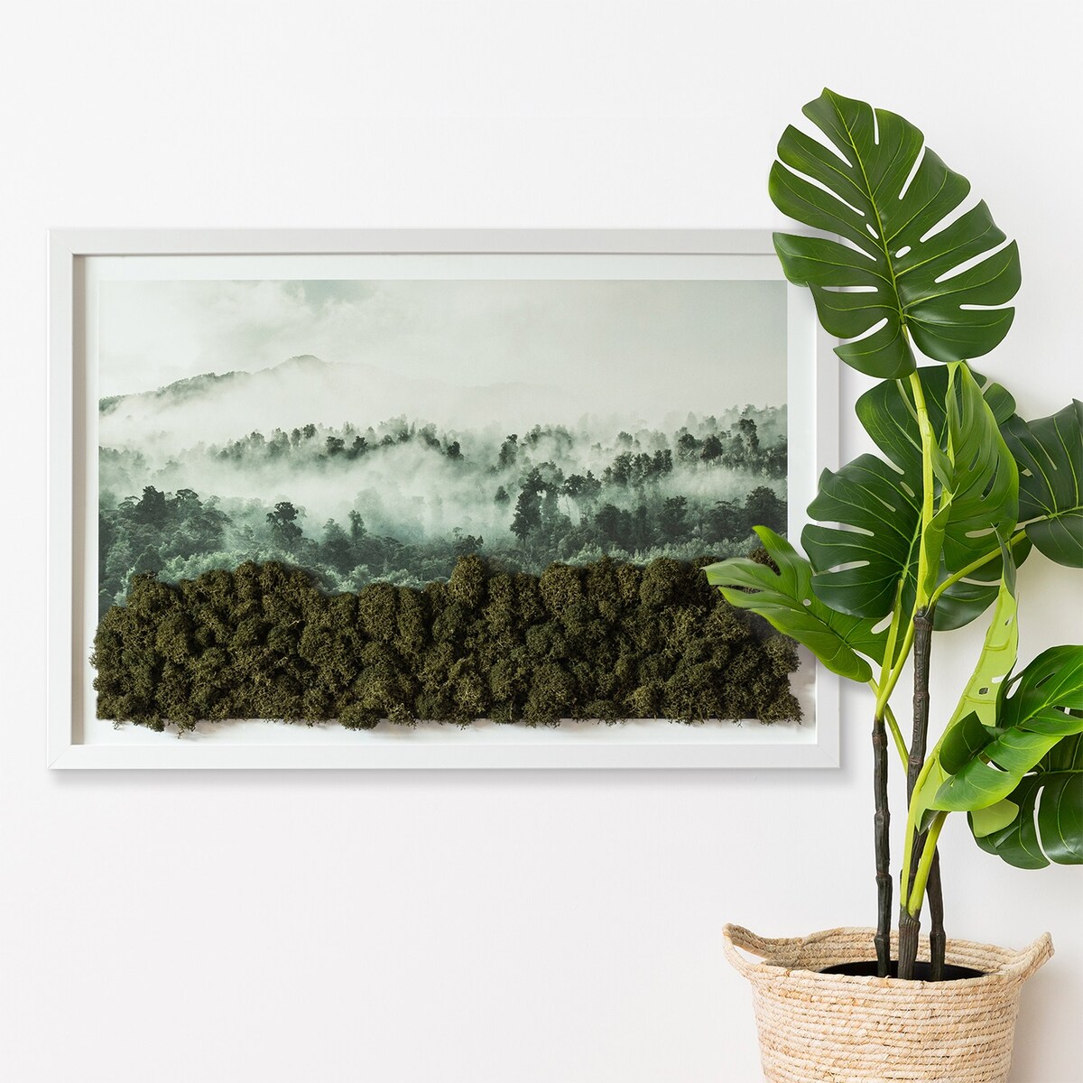 Obraz Las we mgle - mech chrobotek w białej ramie 60x40cm