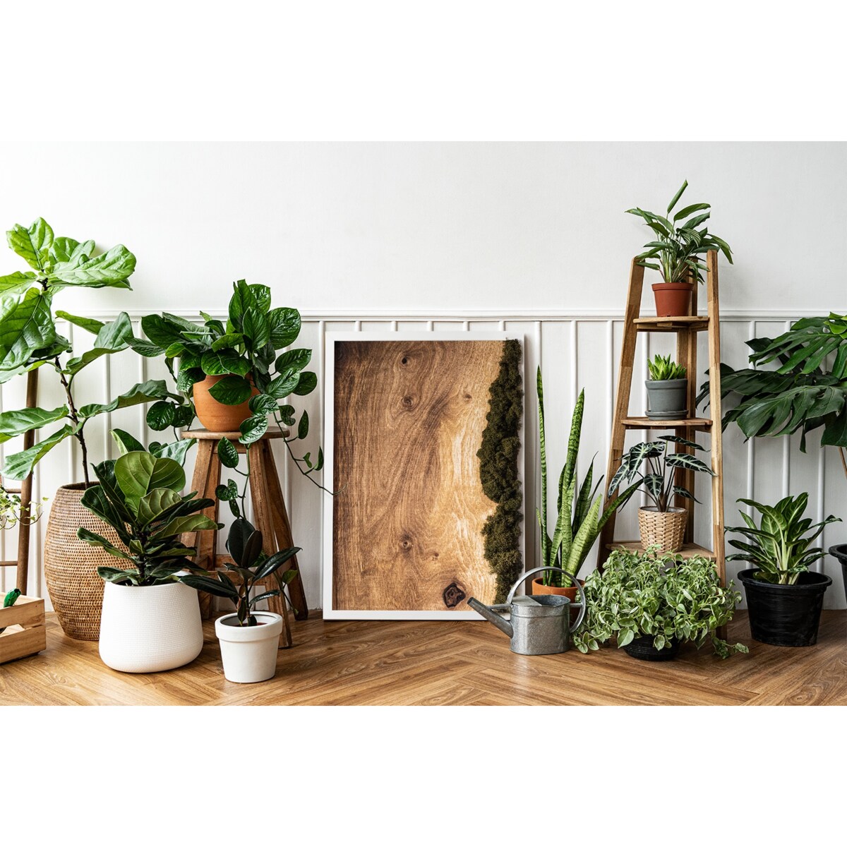 Obraz Dębowa deska naturalna - mech chrobotek w białej ramie 40x60cm