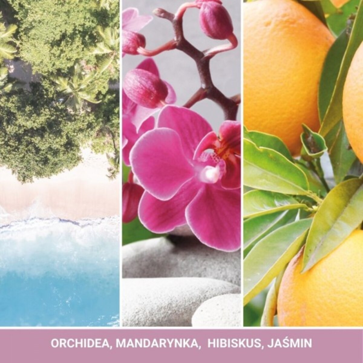 YC SIGNATURE - Tumbler mały WILD ORCHID