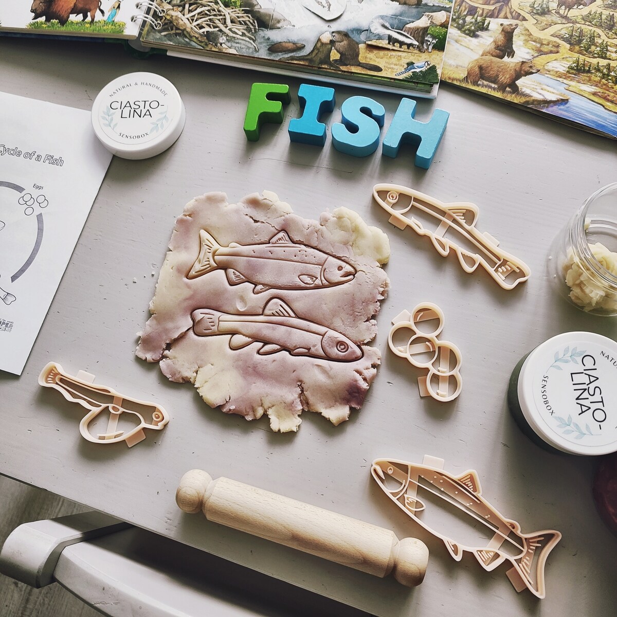 Foremki sensoryczne – Cykl Rozwoju Łososia