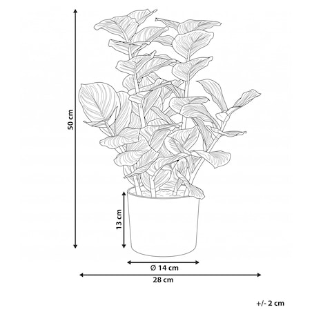 Sztuczna roślina ORBIFOLIA 50 cm Zielony