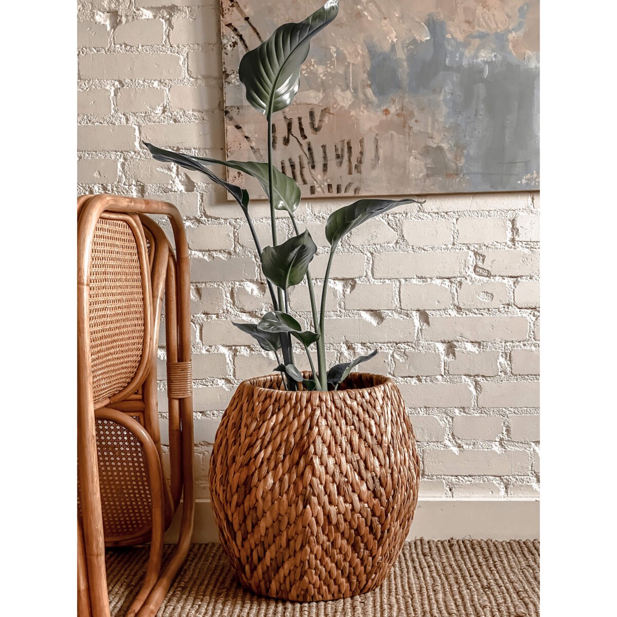 DONICA RUMBA ZE WZOREM