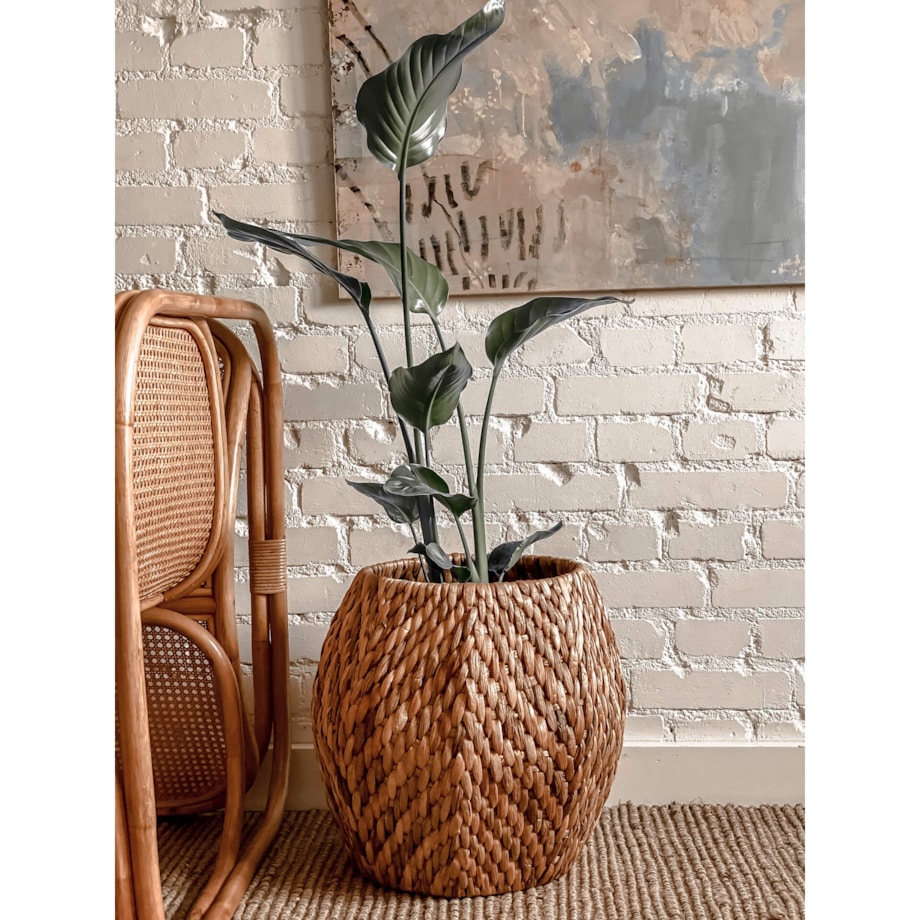 DONICA RUMBA ZE WZOREM