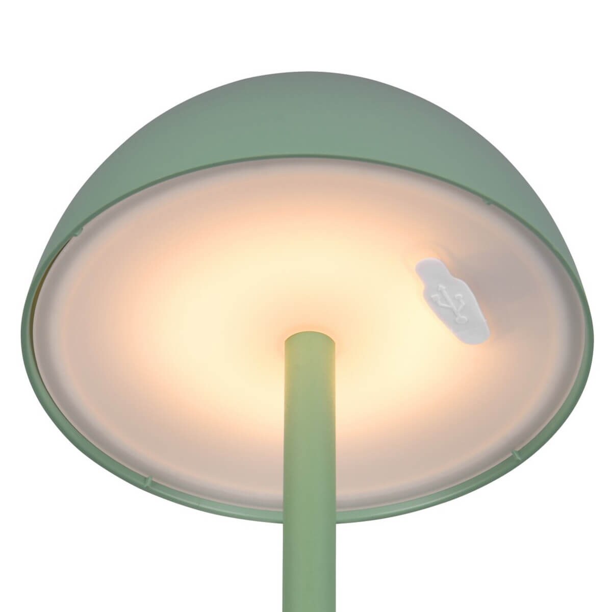 Stołowa lampka ogrodowa Ricardo R54106149 RL Light LED 2W 3000K IP54 zielona