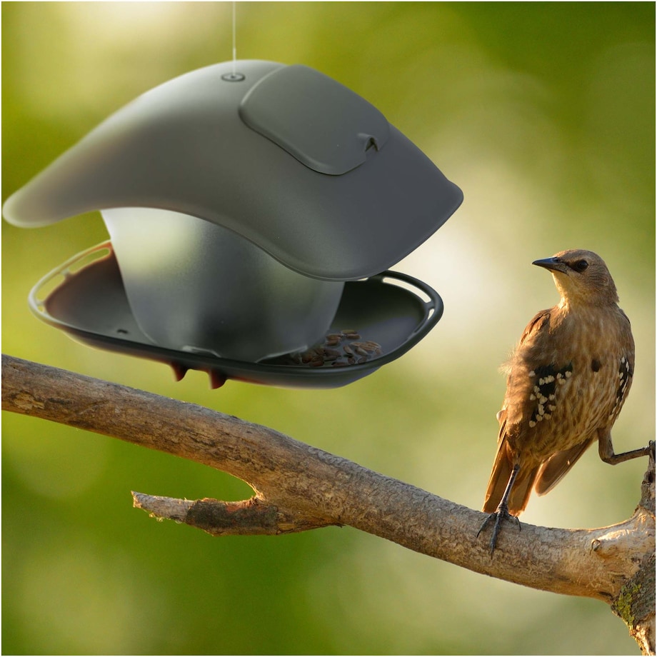 Karmnik Dla Ptaków 25X18 Cm Stojący Wiszący Na Zimę Plastikowy Square Budka