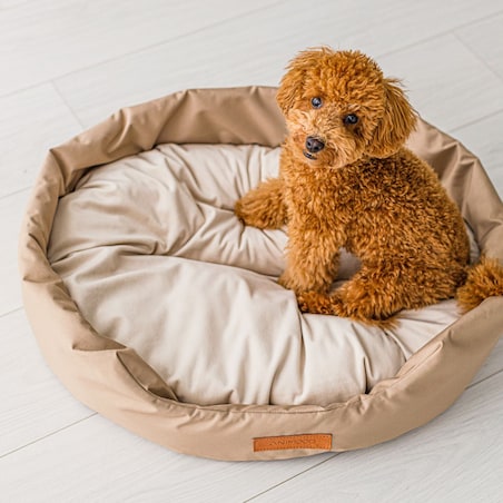 Animood Legowisko Mia rozmiar: M, kolor: beżowy, materiał: kodura/welur