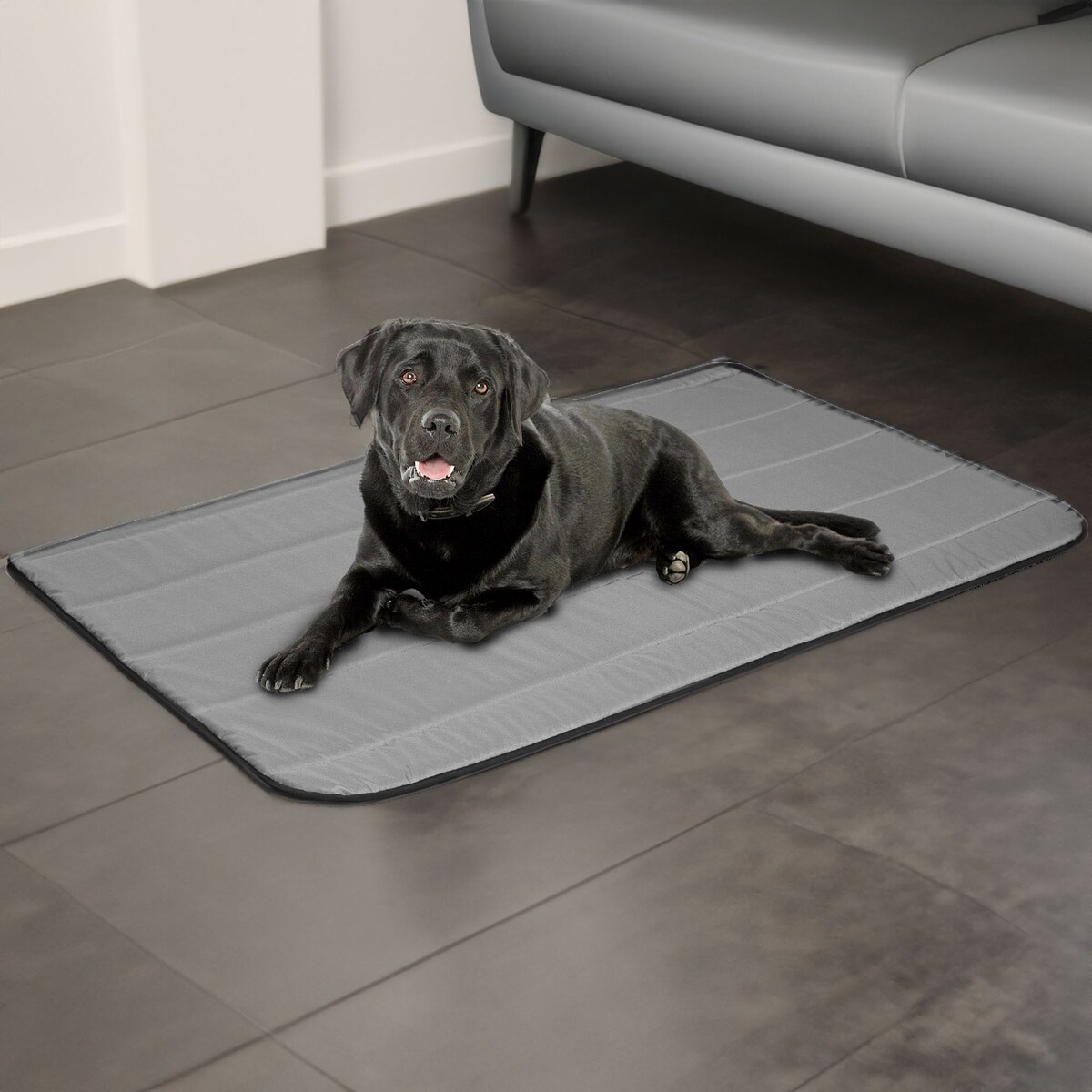 Legowisko Mata Dla Psa M Wodoodporne Antyalergiczne Materac 60X80 Cm