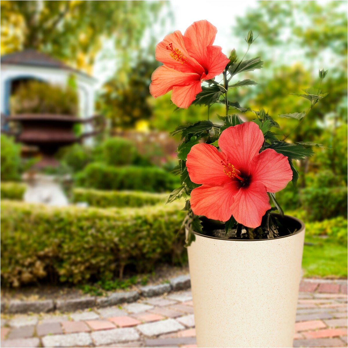 Donica Doniczka Ogrodowa 20 Cm Na Taras Do Ogrodu Domu Eco Wood Biała