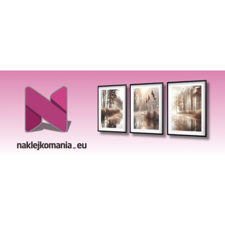 Plakaty na ścianę z ramkami Nowoczesne obrazy ścienne ozdoba do biura