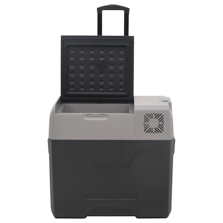 vidaXL Lodówka na kółkach, z zasilaczem, czarno-szara, 30 L, PP