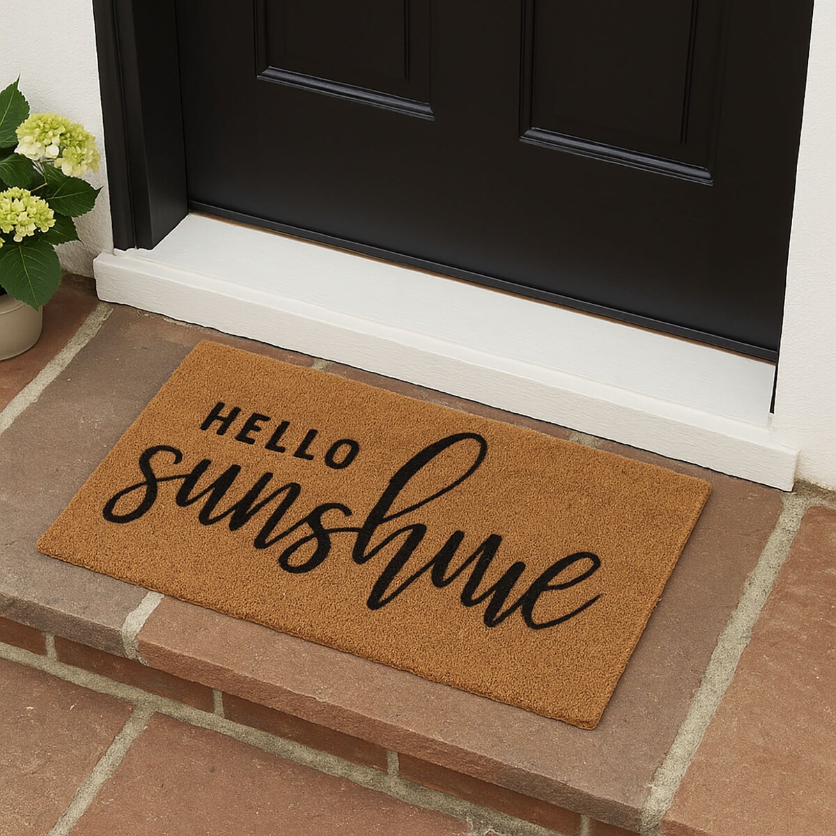 Wycieraczka z włókna kokosowego, 59 x 39 cm