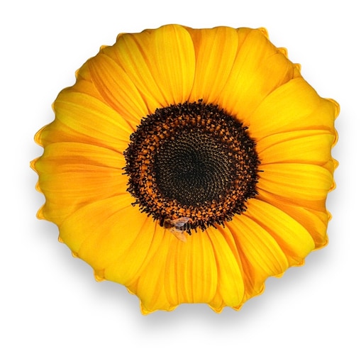 Poduszka duży Słonecznik Poduszkownia