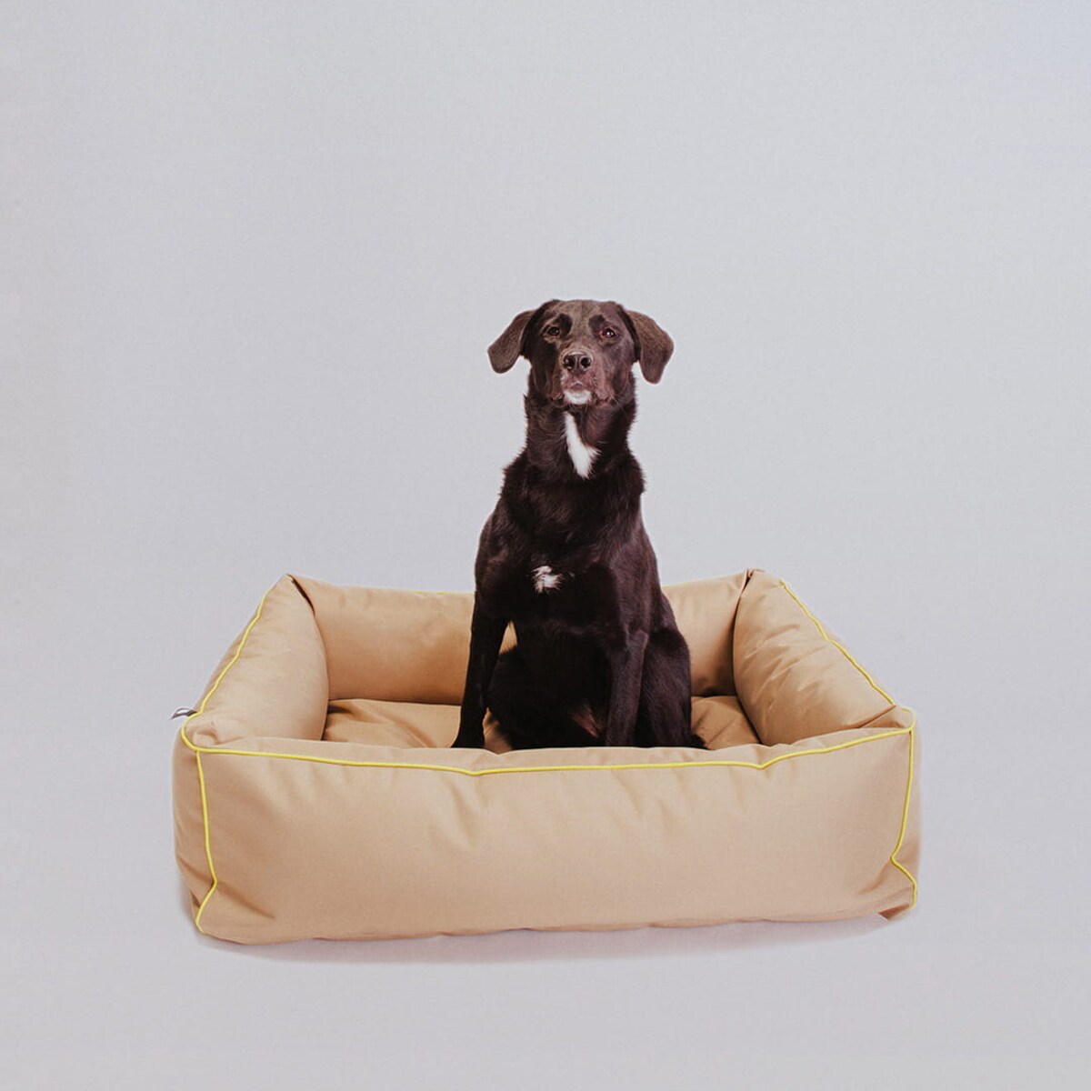 Legowisko dla psa Sun - S - 60x50cm