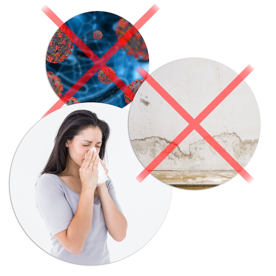 Osuszacz powietrza pochłaniacz wilgoci 800ml Berdsen