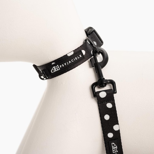 Obroża dla psa lub kota "Psygarnij kropka" - Szerokość taśmy: 25mm, Rozmiar: S