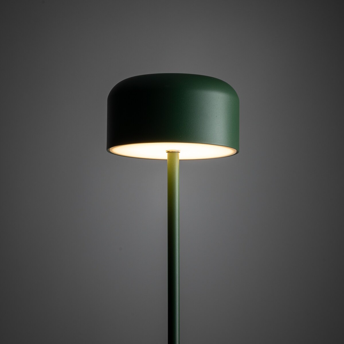 Lampa Stojąca Led Tk Lighting Noa Zielona Podłogowa Smukła Minimalizm 9W 3000K 800Lm