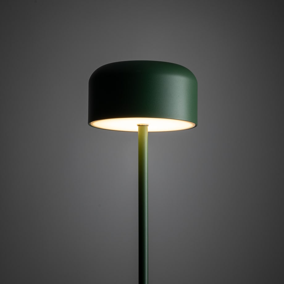 Lampa Stojąca Led Tk Lighting Noa Zielona Podłogowa Smukła Minimalizm 9W 3000K 800Lm