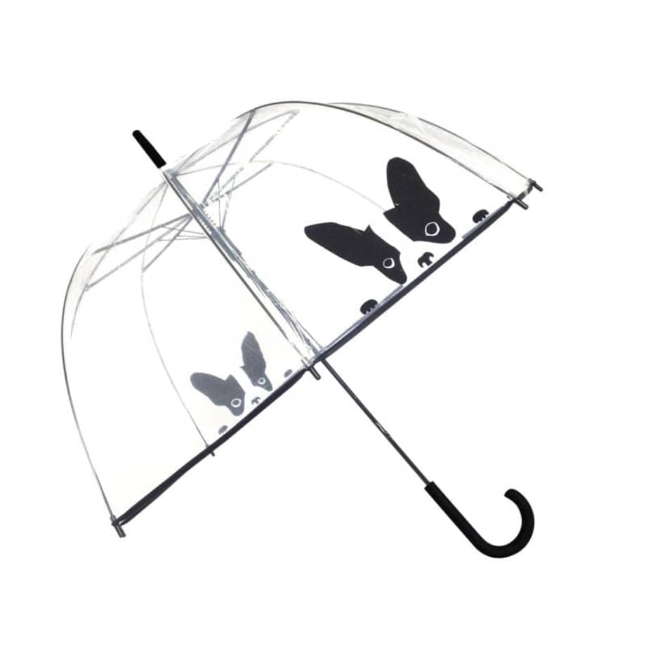 Długi parasol przezroczysty kopuła, pies