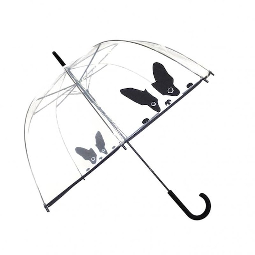 Długi parasol przezroczysty kopuła, pies