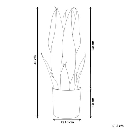 Sztuczna roślina SNAKE PLANT 40 cm Zielony