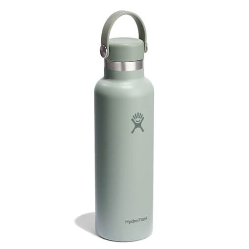 Butelka termiczna (621 ml) Standard Mouth Flex Cap Agave Hydro Flask