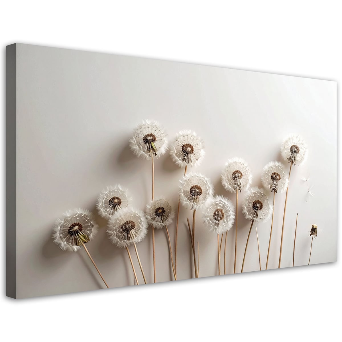 Obraz do salonu kuchni pokoju, Dmuchawce rośliny boho beżowy 100x50