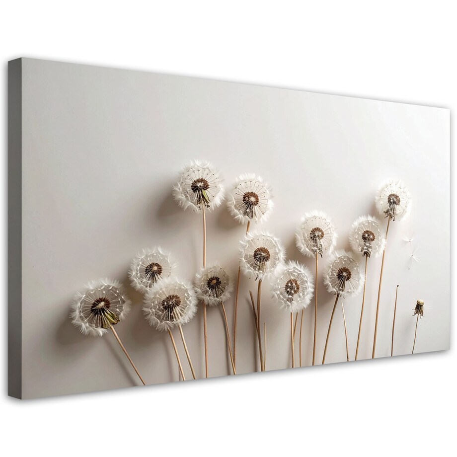 Obraz do salonu kuchni pokoju, Dmuchawce rośliny boho beżowy 100x50