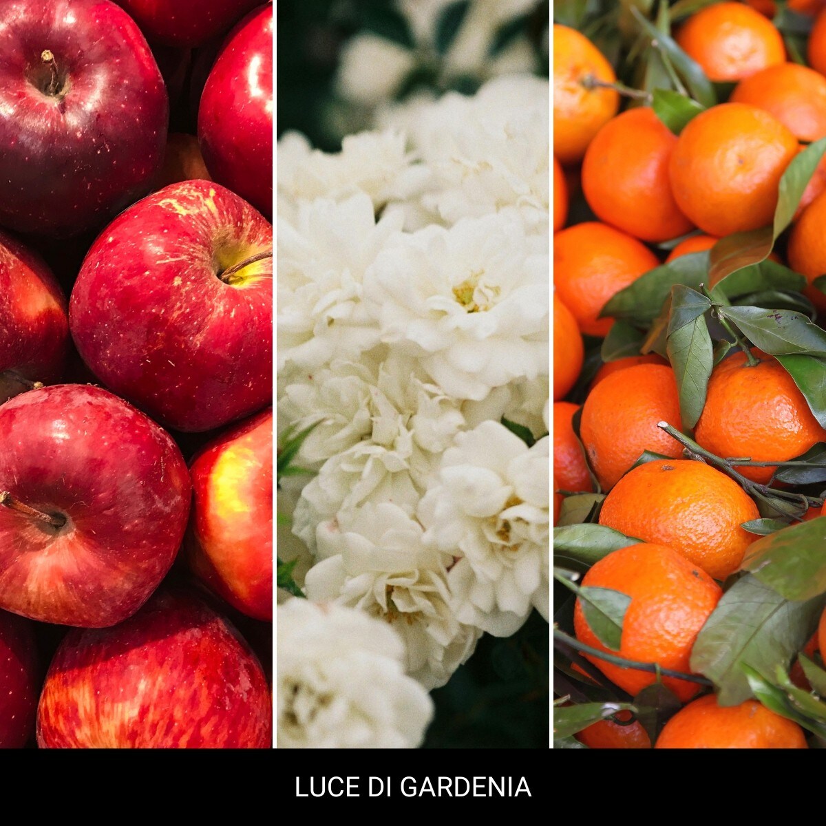 Millefiori LAUNDRY - Spray 100ml LUCE DI GARDENIA