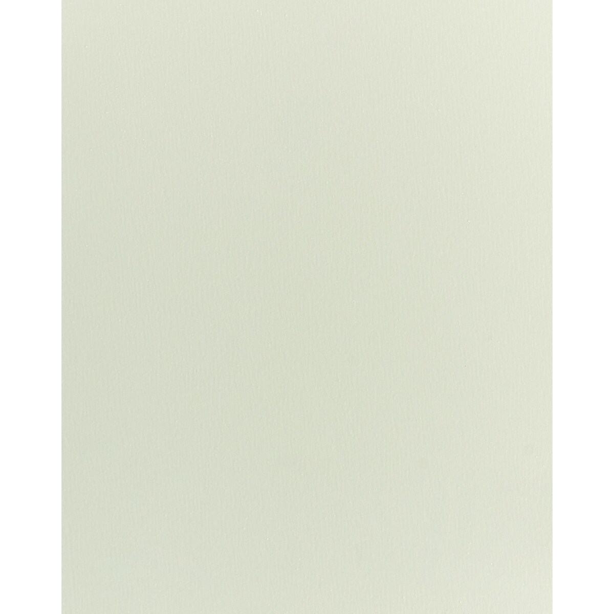 Regał ścienny MDF Jasnozielony RIGOLET