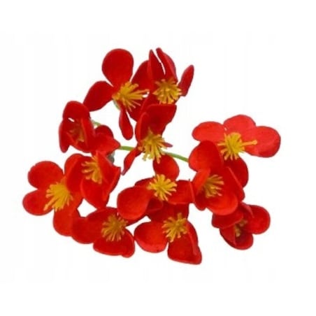 hortensja KWIATY Z MYDŁA drobne kwiatuszki CZERWONE mydlane na bukiet box 1