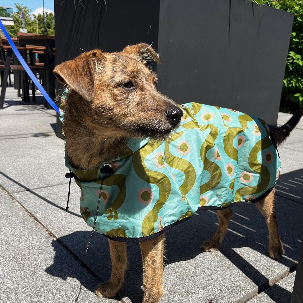 Płaszcz przeciwdeszczowy dla psa Piesss - Rozmiar: S