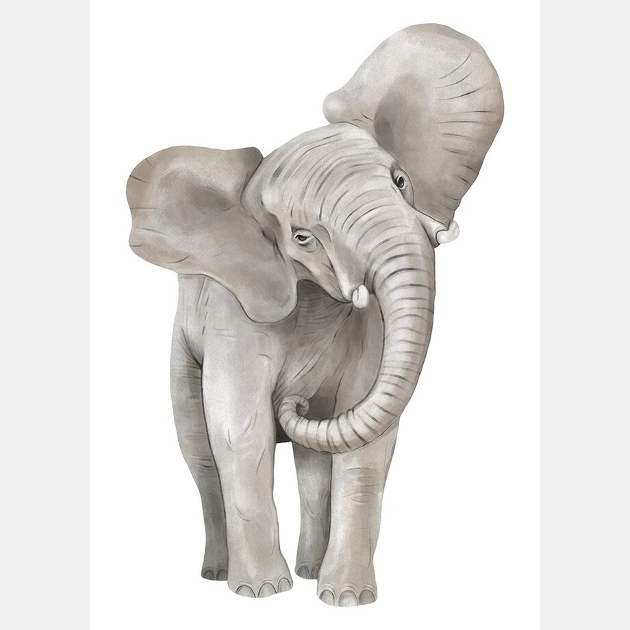 Plakat dla dzieci Słoń 50x70