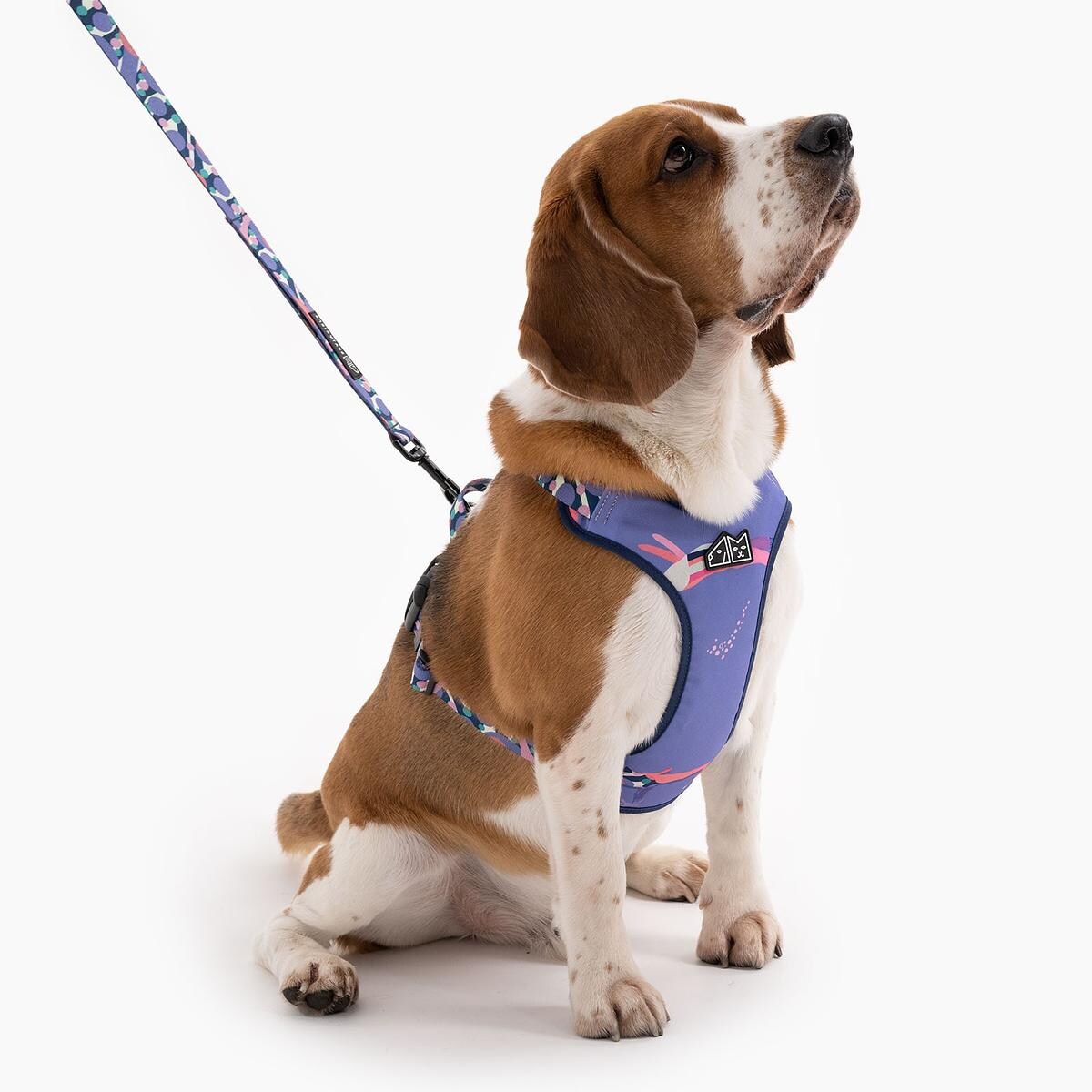 Szelki bezuciskowe dla psa lub kota "Pies z głową w dół" - Szerokość taśmy: 15mm, Rozmiar: XS