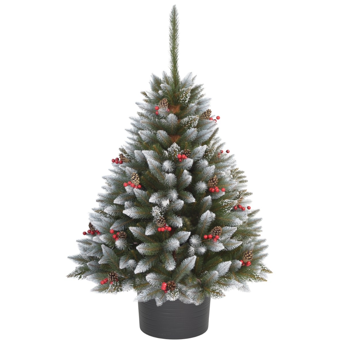 Choinka Premium Świerk Diamentowy Ilex w Okrągłej Donicy 160 cm X-Choinka 7 kolorów donicy